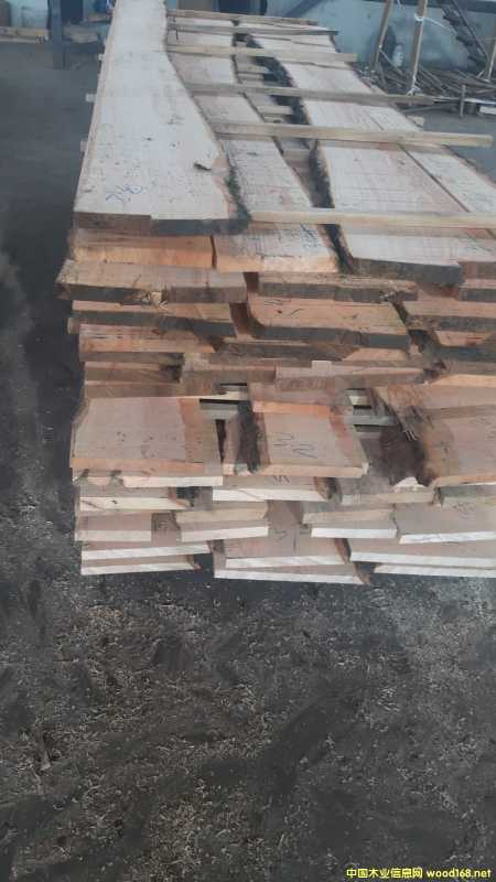 ��Ϟ AB �ȼ� �_�R�၆