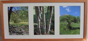 ����Ԕ����B