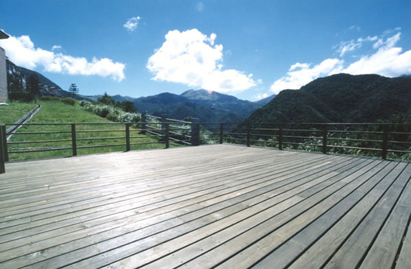 HOOVER�����Ϸ��ɷ�����