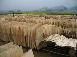 ��ľо���Ԕ����B