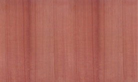 ӭ�����ă�(y��u)�ݻ��(d��ng)���z�ϰ� �b��N����Ԕ��(x��)��B