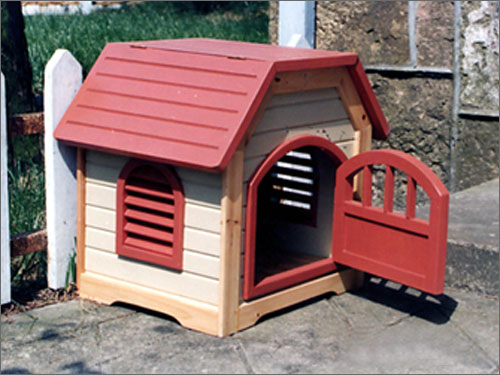 ؈�� CAT HOUSE��Ԕ����B