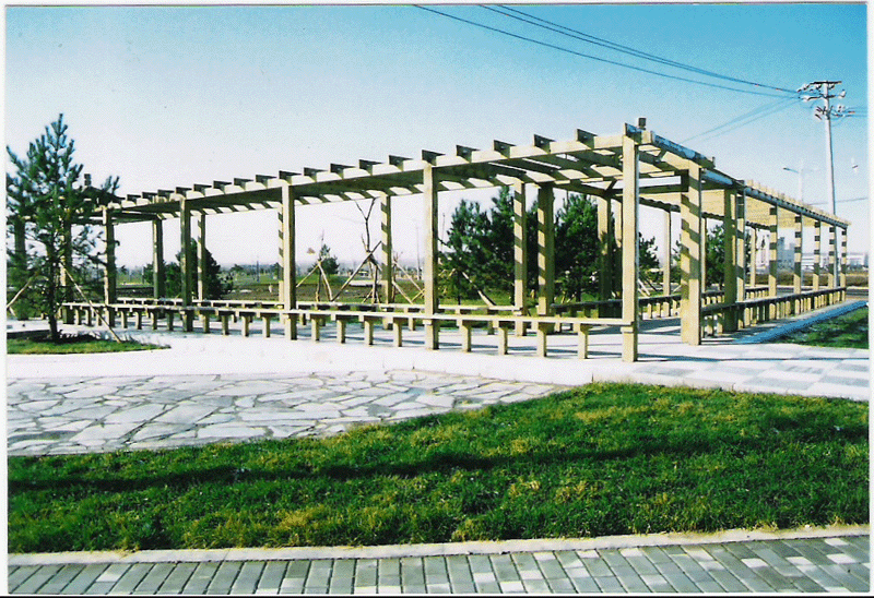 ����ľ��Ԕ��(x��)��B