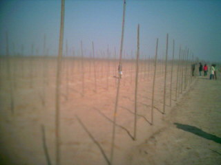 �����S�a(ch��n)�òė��(sh��)�ֵ�Ԕ��(x��)��B