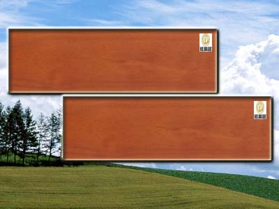 ����ľ��Ԕ����B